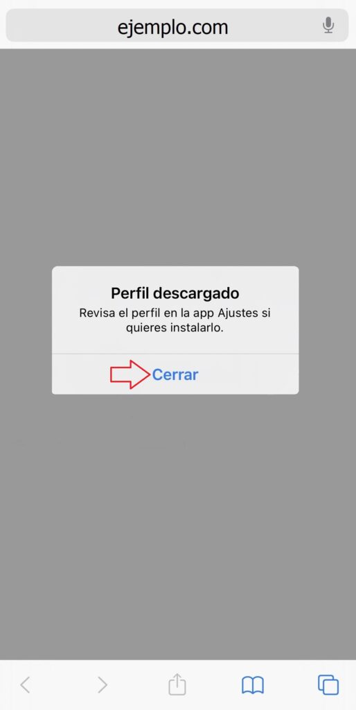 Confirmar descarga del perfil en IPHONE o IOS